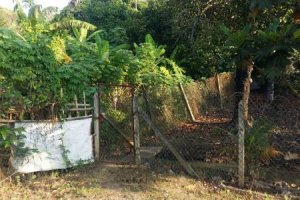 Land for sale in Lai Thieu, Binh Duong