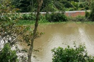 Land for sale in Lai Thieu, Binh Duong