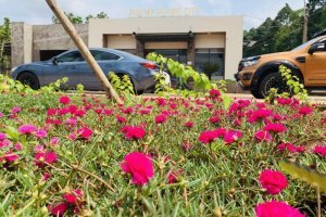 Land for sale in Phu My Future City, Ba Ria - Vung Tau