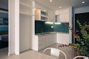 1 Bedroom Condo for rent in BOTANICA PREMIER, Ho Chi Minh