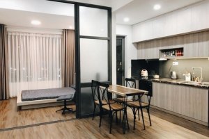 Cho thuê căn hộ 1 phòng ngủ tại BOTANICA PREMIER, Hồ Chí Minh