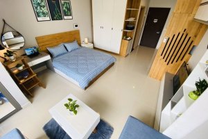 Cho thuê căn hộ 1 phòng ngủ tại BOTANICA PREMIER, Hồ Chí Minh