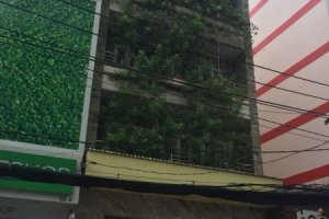 Cần bán nhà phố 4 phòng ngủ tại Phường 4, Quận Tân Bình, Hồ Chí Minh