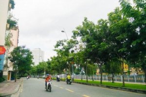 3 Bedroom Townhouse for sale in Phuong 11, Ho Chi Minh