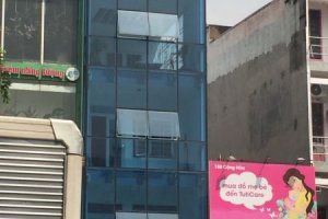 Cần bán nhà phố 8 phòng ngủ tại Phường 4, Quận Tân Bình, Hồ Chí Minh