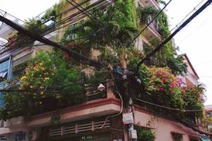 Cần bán nhà phố  tại Phường 14, Quận Tân Bình, Hồ Chí Minh