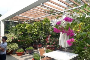 Cần bán nhà riêng  tại Phường 11, Quận Tân Bình, Hồ Chí Minh