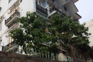 Cần bán nhà riêng  tại Phường 14, Quận Tân Bình, Hồ Chí Minh