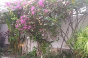 Villa for sale in Ho Chi Minh