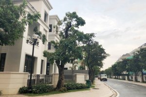 5 Bedroom Villa for sale in Binh An, Ho Chi Minh