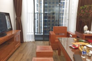 2 Bedroom Apartment for rent in 6th Element, Quan Hoa, Ha Noi
