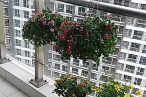2 Bedroom Serviced Apartment for rent in Vinhomes Central Park, Ho Chi Minh