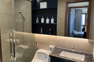 2 Bedroom Condo for sale in Binh Duong