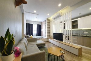 1 Bedroom Apartment for sale in The Botanica, Ho Chi Minh
