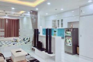1 Bedroom Condo for sale in The Botanica, Ho Chi Minh