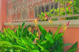 Cho thuê nhà phố 2 phòng ngủ tại Thảo Điền, Quận 2, Hồ Chí Minh