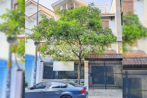 Cho thuê nhà phố 5 phòng ngủ tại Hồ Chí Minh