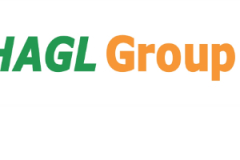HAGL Group