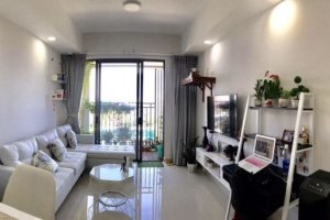 Cho thuê căn hộ 2 phòng ngủ tại BOTANICA PREMIER, Hồ Chí Minh