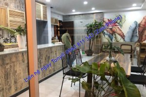 Cho thuê căn hộ 3 phòng ngủ tại The Botanica, Hồ Chí Minh