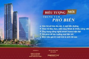 Commercial for sale in Quy Nhon Melody, Qui Nhon, Binh Dinh