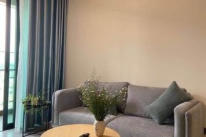 Bán hoặc thuê căn hộ chung cư 1 phòng ngủ tại Feliz En Vista, An Phú, Quận 2, Hồ Chí Minh