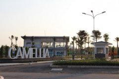 Camellia - Townhouse Camellia - Townhouse