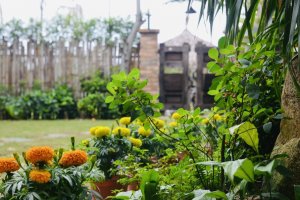 8 Bedroom Villa for sale in Hoi An, Quang Nam