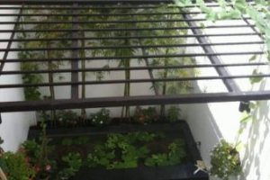 7 Bedroom Townhouse for sale in Phuong 10, Ho Chi Minh