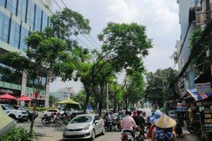 6 Bedroom Townhouse for sale in Phuong 2, Ho Chi Minh
