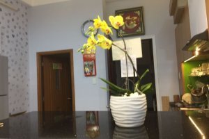 Cần bán nhà phố 2 phòng ngủ tại Cầu Kho, Quận 1, Hồ Chí Minh