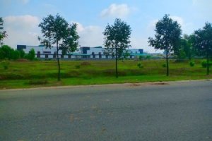 Land for sale in An Binh, Binh Duong