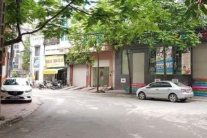 Cần bán nhà phố 5 phòng ngủ tại Láng Hạ, Quận Đống Đa, Hà Nội