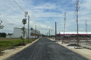 Cần bán Đất nền  tại Bình Chánh, Huyện Bình Chánh, Hồ Chí Minh