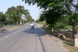 2 Bedroom House for sale in Phuong 1, Ho Chi Minh
