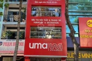 Cần bán nhà phố 15 phòng ngủ tại Phường 12, Quận 10, Hồ Chí Minh
